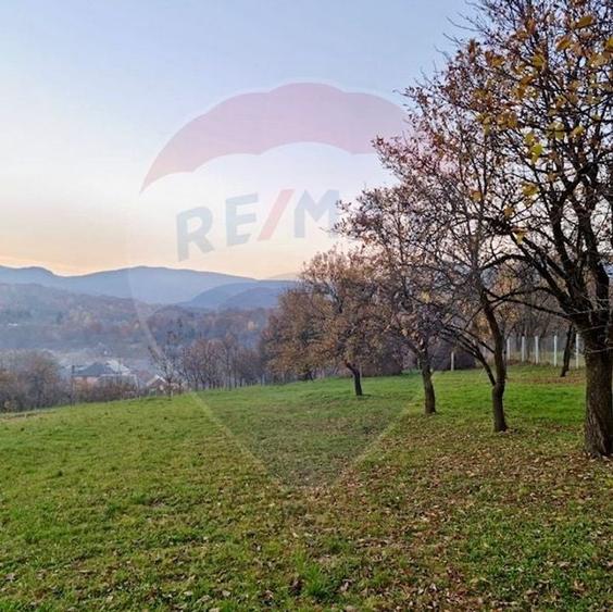 Casă individuală cu 4 camere cu Teren 36970 Mp în Mara