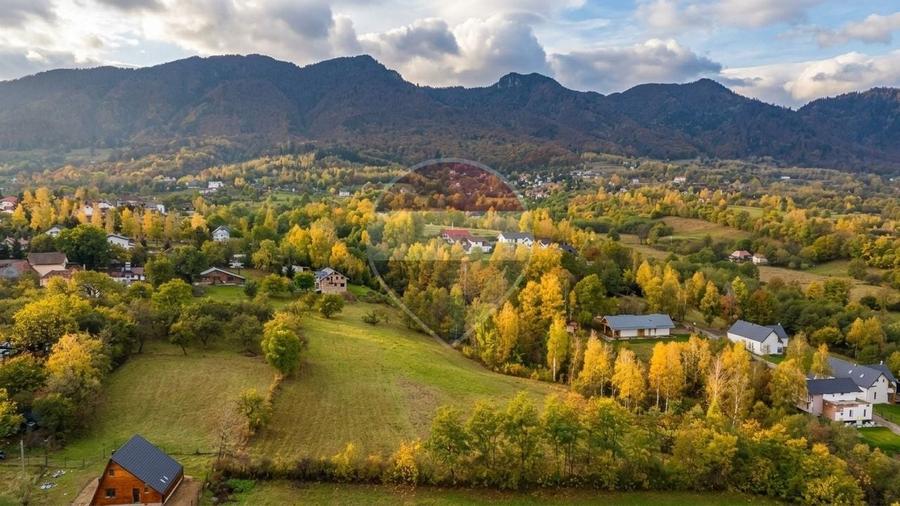 Teren Construcții intravilan de 1500 mp, în Tohănița