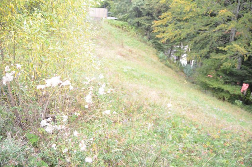 Teren de 1300 mp, în Valea Alba