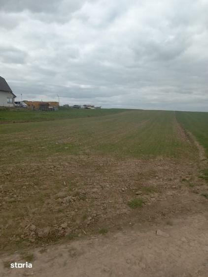 Teren de 3500 mp, în Mitocu Dragomirnei