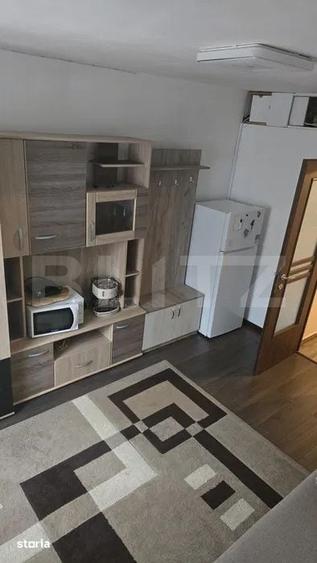 Apartament 1 camera, 27 mp, pet friendly, zona Bulgaria - 1