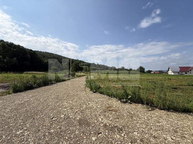 Teren Construcții intravilan de 23000 mp, în Horodnic de Jos