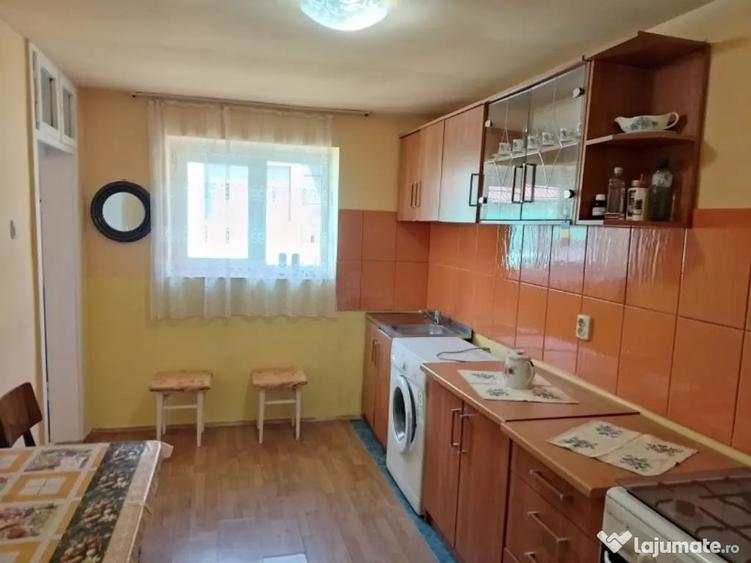 Casă cu 2 camere în Suceagu