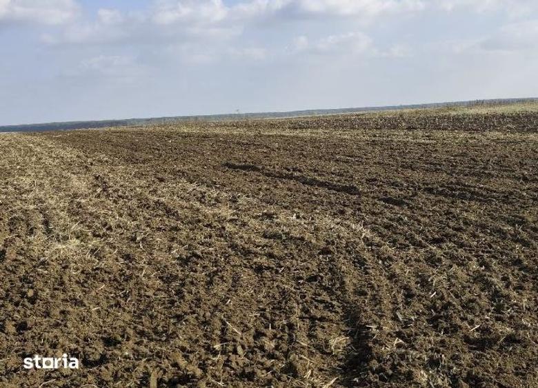 Teren de 3000 mp, în Radovan