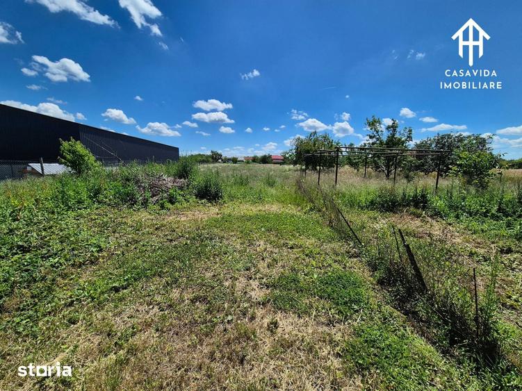 Casă cu 3 camere cu Teren 2800 Mp în Traian Vuia