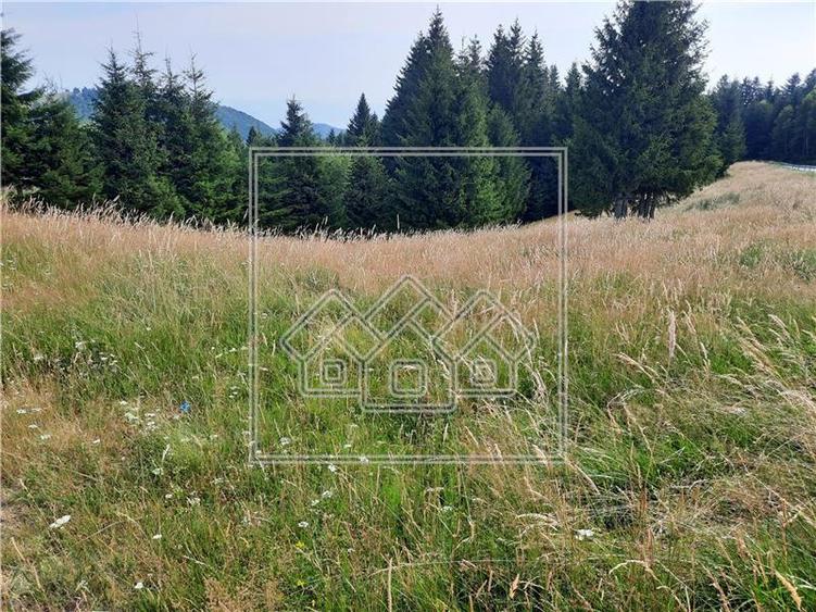 Teren Construcții intravilan de 800 mp, în Păltiniș