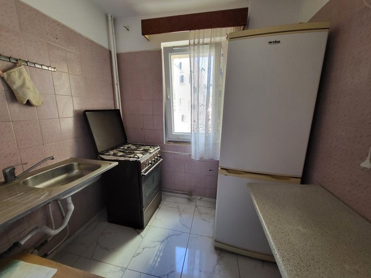 Teiul Doamnei 2 Camere Bloc 1976 Reabilitat - 6