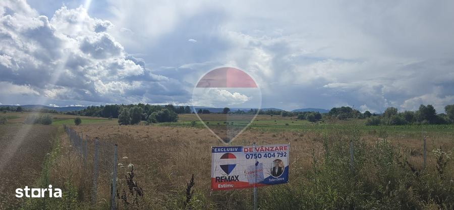 Teren intravilan de vanare in Horodnic de Sus - 3