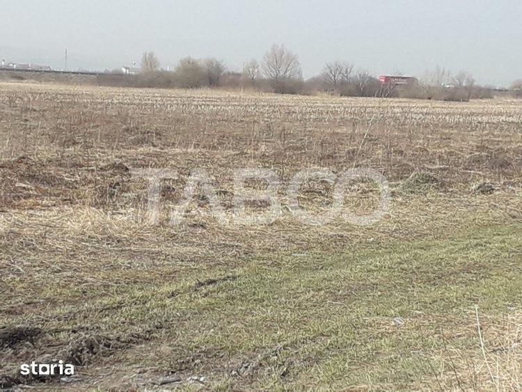 Teren extravilan 4200 mp in Sibiu zona Turnisor - 2