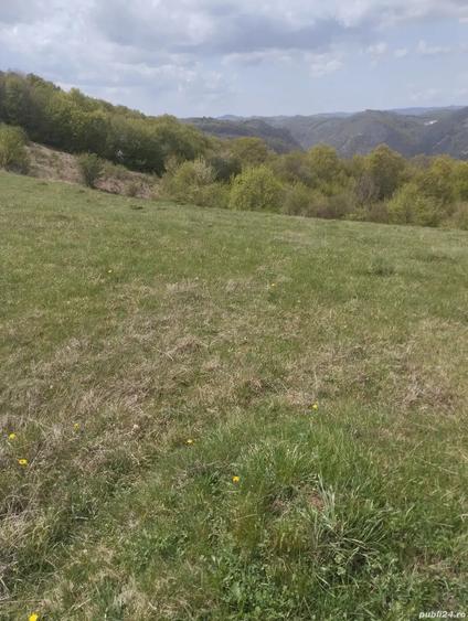 Teren de 3774 mp, în Ghelari