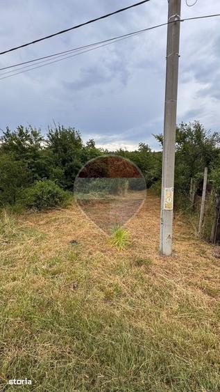 Teren de 20798 mp, în Prunișor
