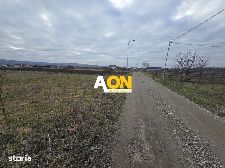 Teren de 9970 mp, în Partoș