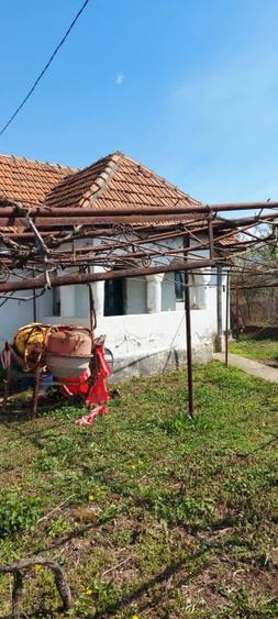 Casă individuală cu 2 camere cu Canalizare în Drăguțești