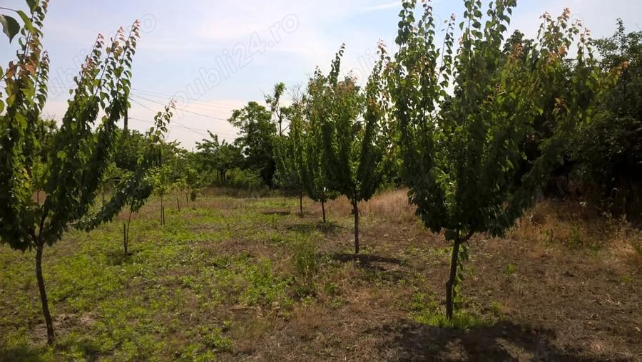 Casă cu 4 camere cu Teren 3000 Mp în Ostrov
