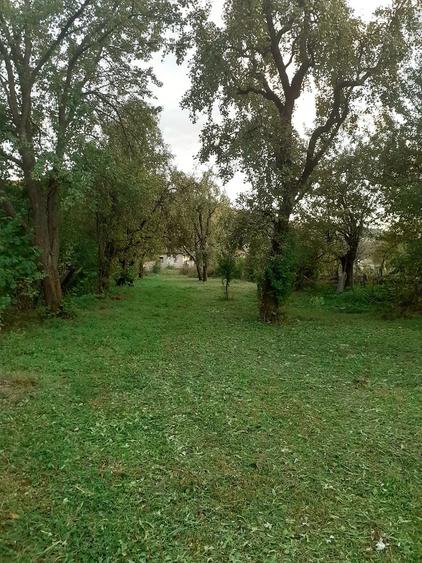 Casă cu Teren 3200 Mp în Central