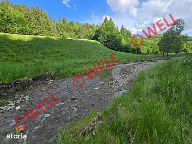Teren de 57000 mp, în Vama Buzăului