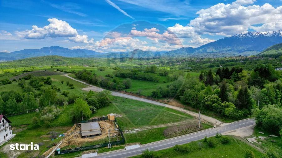 Teren de 646 mp, în Tohănița