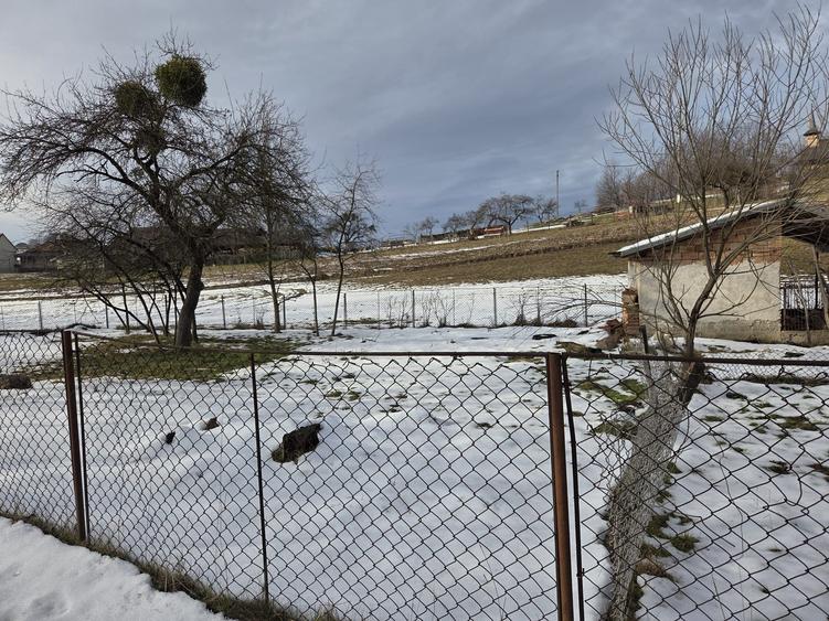 Casă cu 4 camere în Valea Crișului