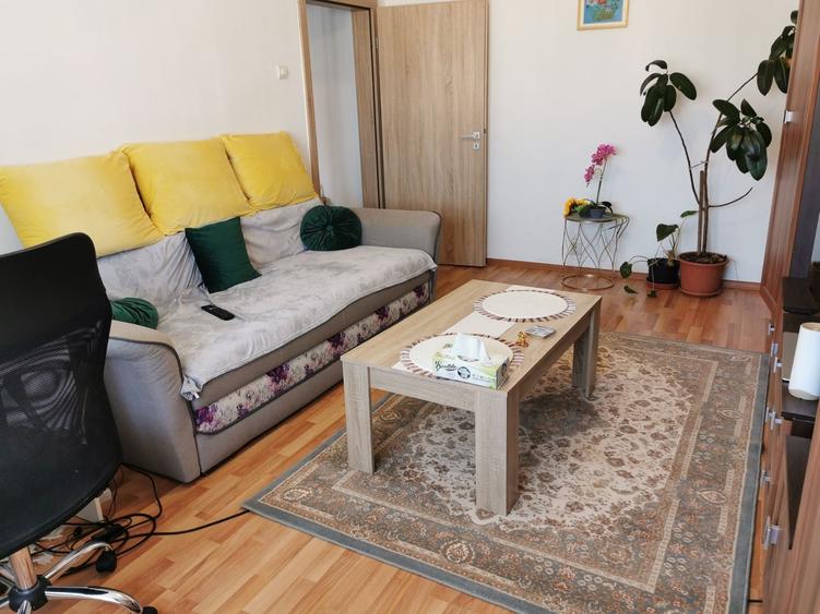 Apartament cu 2 camere decomandat în Ștrand