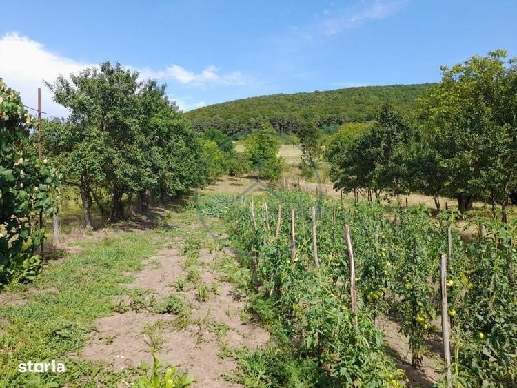 Casă cu 3 camere în Șieu