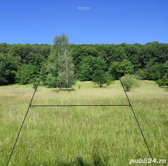 Teren extravilan Pietrosani, Arges - 3