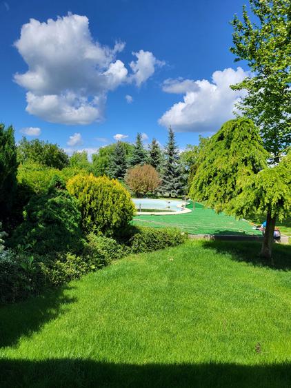 Casă individuală cu 6 camere cu Piscina în Snagov