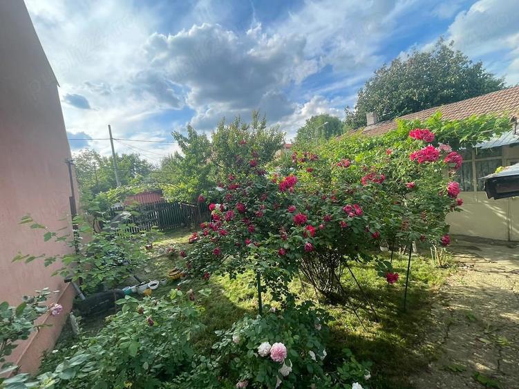 Casă cu 5 camere cu Teren 280 Mp în Pantelimon
