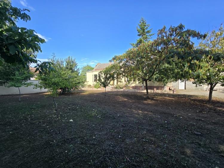 Casă individuală cu 3 camere cu Canalizare în Cenad