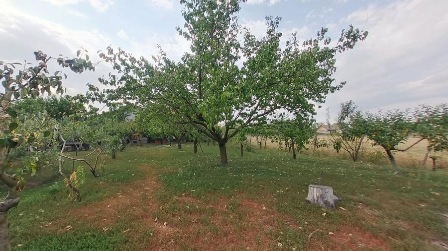 Casă individuală cu 3 camere cu Teren 1530 Mp în Șiria