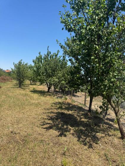 Casă cu 4 camere în Tulca