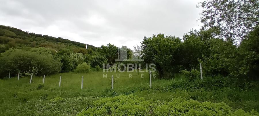 Teren Construcții intravilan de 994 mp, în Budiu Mic