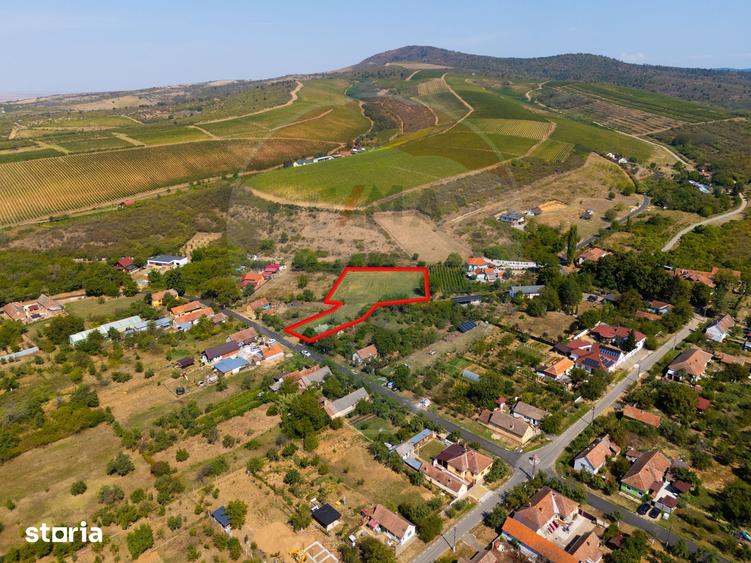 Teren de 4184 mp, în Ghioroc