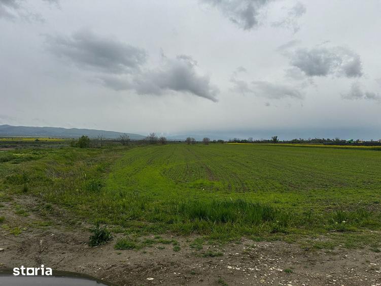 Teren de 2500 mp, în Câmpineanca