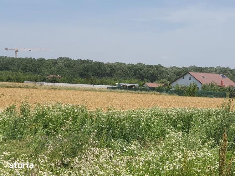 Teren de 500 mp, în Balotești