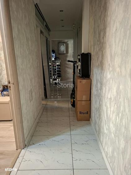 3 camere Profi Rozelor