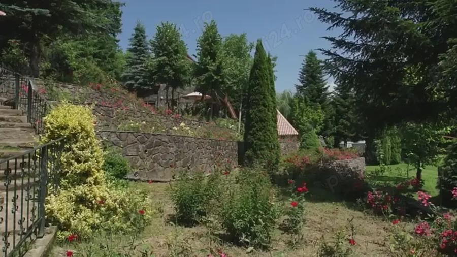 Casă cu 6 camere cu Teren 16500 Mp în Lunca Mare