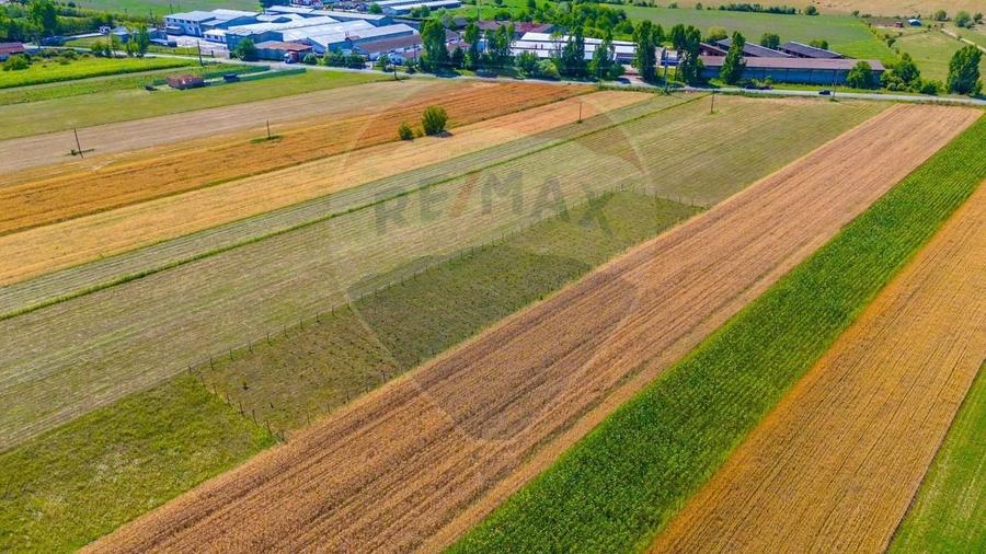Teren agricol extravilan de 7000 mp, în Teliu