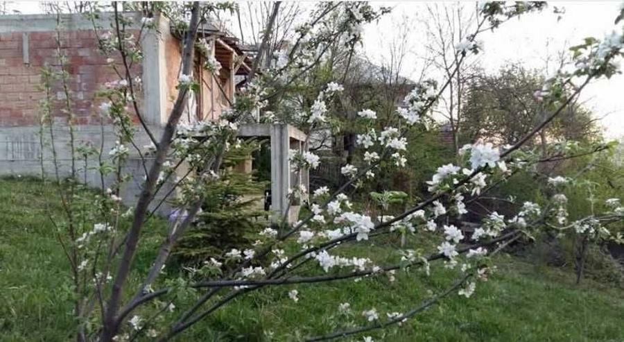 Casă cu 4 camere cu Teren 2344 Mp în Secăriei