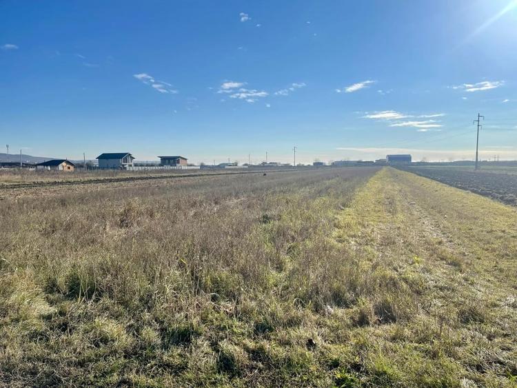 Teren agricol extravilan de 5000 mp, în Calea București