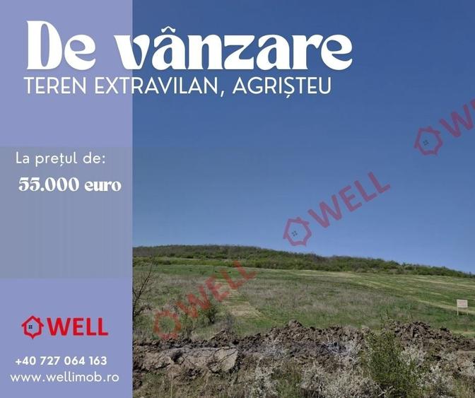 Teren agricol extravilan de 60000 mp, în Agrișteu