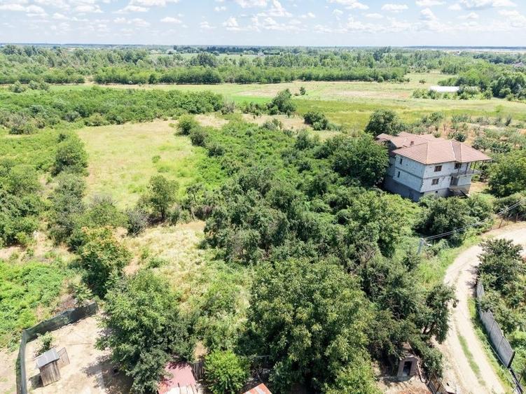 Bolintin Vale, Curte 3200 mp intravilan, intre case - 14