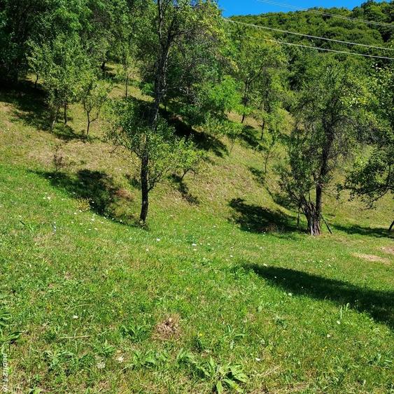Teren de 3800 mp, în Arefu