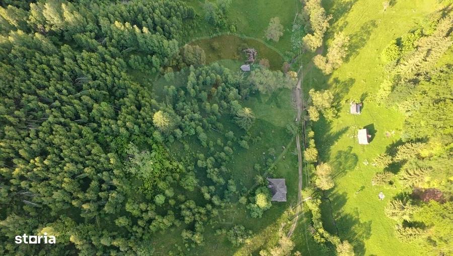 Teren 38,704mp Sirnea | 2.000 mp Intravilan | 36,704 Extravilan - 13