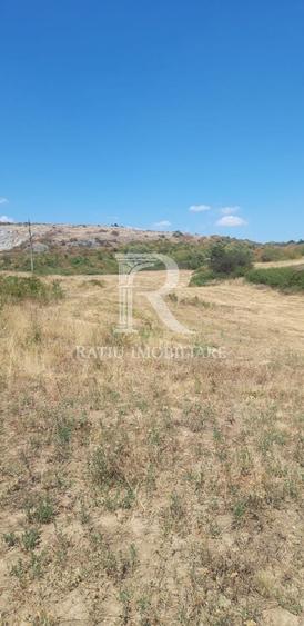 Teren agricol extravilan de 7935 mp, în Betfia