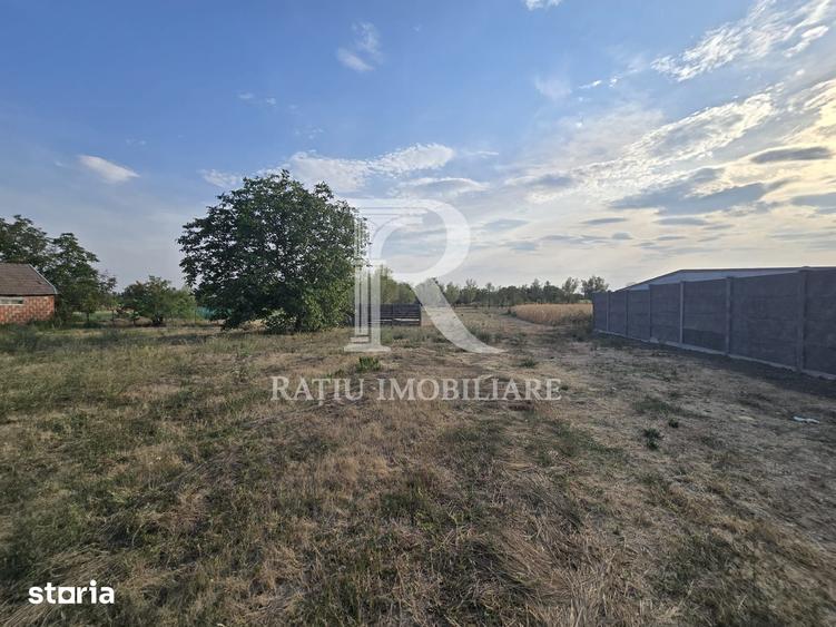 Teren intravilan 6.514mp | 39m front stradal | Ciocaia, Sacuieni - 7