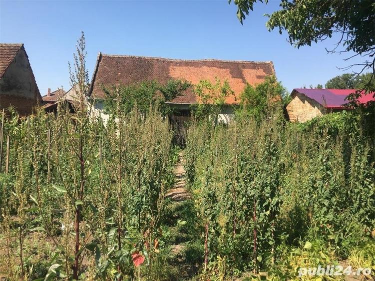 Casă cu 6 camere cu Teren 3444 Mp în Căstău