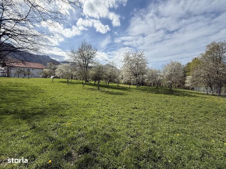 Teren intravilan 1355 mp in zona Bran, judetul Brasov - 7