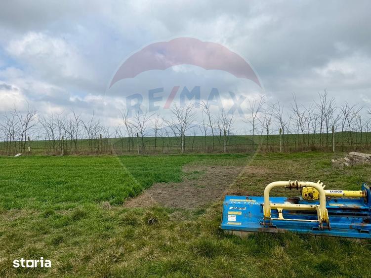 Teren de 60000 mp, în Săcele