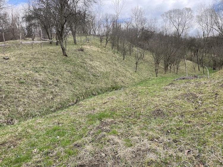 vand 2300m2 teren intravilant comuna secaria - 6
