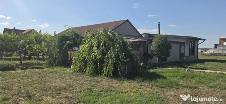 Casă cu 3 camere cu Teren 2000 Mp în Mihail Kogălniceanu